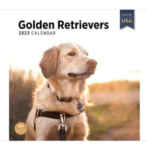 2023 Golden Retrievers Monthly Wall Calendar, Made in the USA 12" x 12"